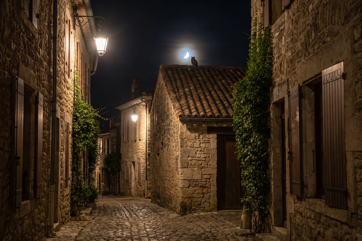Chouette perchée la nuit sur un toit de tuiles, ruelle de pierre éclairée, croissant de lune